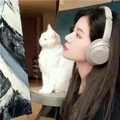 纪录综艺